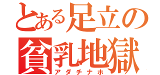 とある足立の貧乳地獄（アダチナホ）