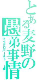 とある麦野の愚弟事情（マイクロバースト）