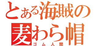 とある海賊の麦わら帽子（ゴム人間）