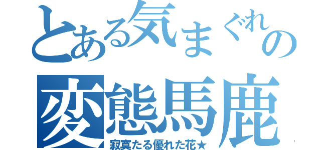 とある気まぐれの変態馬鹿（寂寞たる優れた花★）