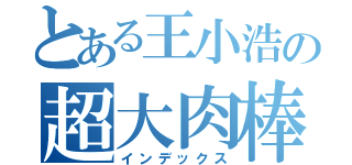 とある王小浩の超大肉棒（インデックス）