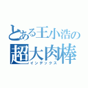 とある王小浩の超大肉棒（インデックス）