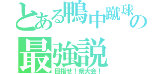 とある鴨中蹴球の最強説（目指せ！県大会！）