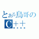 とある鳥哥のＣ＋＋（根本鳥爆）