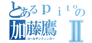 とあるｐｉｔｏｏの加藤鷹Ⅱ（ゴールデンフィンガー）