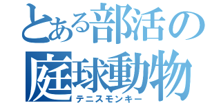 とある部活の庭球動物（テニスモンキー）