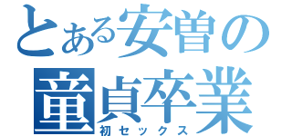 とある安曽の童貞卒業（初セックス）