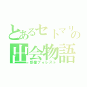 とあるセトマリの出会物語（想像フォレスト）