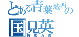 とある青葉城西の国見英（無気力君）