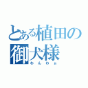 とある植田の御犬様（わんわぉ）