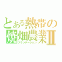 とある熱帯の焼畑農業Ⅱ（プランテーション）