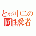 とある中二の同性愛者（ユリオトメ）