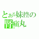 とある妹控の腎痛丸（小孙孙）