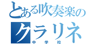 とある吹奏楽のクラリネット（中学校）