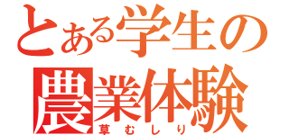 とある学生の農業体験（草むしり）