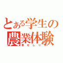 とある学生の農業体験（草むしり）