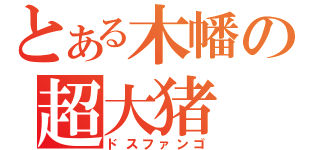 とある木幡の超大猪（ドスファンゴ）