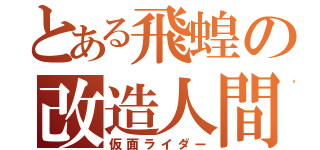 とある飛蝗の改造人間（仮面ライダー）