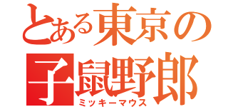 とある東京の子鼠野郎（ミッキーマウス）