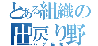 とある組織の出戻り野郎（ハゲ猫娘）