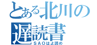 とある北川の遅読書（ＳＡＯはよ読め）