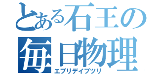 とある石王の毎日物理（エブリデイブツリ）