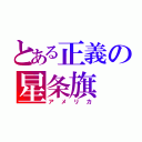 とある正義の星条旗（アメリカ）