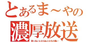 とあるま～やの濃厚放送（酔っ払いとのらねこたちの集い）