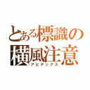 とある標識の横風注意（アビテックス）