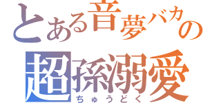 とある音夢バカの超孫溺愛（ちゅうどく）