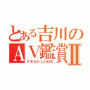 とある吉川のＡＶ鑑賞Ⅱ（アダルトＬＯＯＫ）