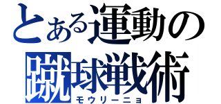 とある運動の蹴球戦術（モウリーニョ）