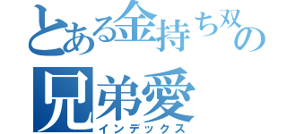 とある金持ち双子の兄弟愛（インデックス）