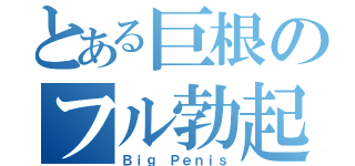 とある巨根のフル勃起（Ｂｉｇ Ｐｅｎｉｓ）