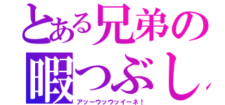 とある兄弟の暇つぶし（アッーウッウッイーネ！）