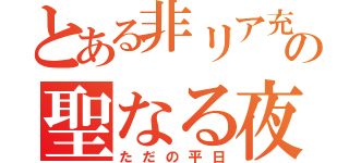 とある非リア充の聖なる夜（ただの平日）