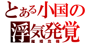 とある小国の浮気発覚（離婚危機）