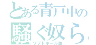 とある青戸中の騒ぐ奴ら（ソフトボール部）