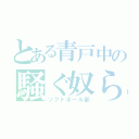 とある青戸中の騒ぐ奴ら（ソフトボール部）