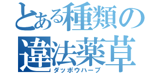 とある種類の違法薬草（ダッポウハーブ）