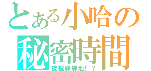 とある小哈の秘密時間（夜裡靜靜地！？）