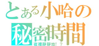 とある小哈の秘密時間（夜裡靜靜地！？）