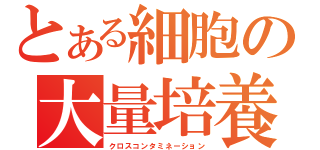 とある細胞の大量培養（クロスコンタミネーション）