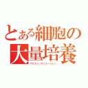 とある細胞の大量培養（クロスコンタミネーション）