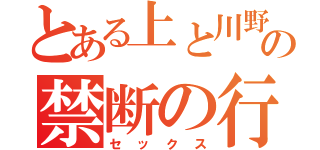 とある上と川野の禁断の行為（セックス）