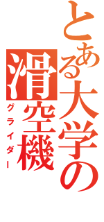 とある大学の滑空機（グライダー）