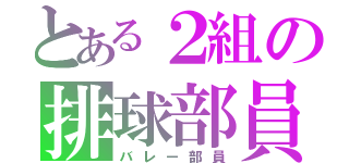 とある２組の排球部員（バレー部員）