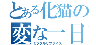 とある化猫の変な一日（ミラクルサプライズ）