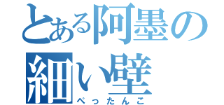 とある阿墨の細い壁（ぺったんこ）