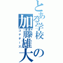 とある学校 の加藤雄大（コナチーズ）